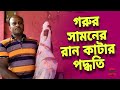 দেখুন গরুর সামনের রান কি ভাবে কাটবেন ম