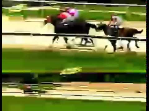 VALENCIA 3 CARRERA, VIERNES 07 E AGOSTO DEL 2015