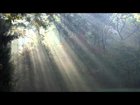 Franz Schubert: Piano Trio in E flat Major  - Andante con moto