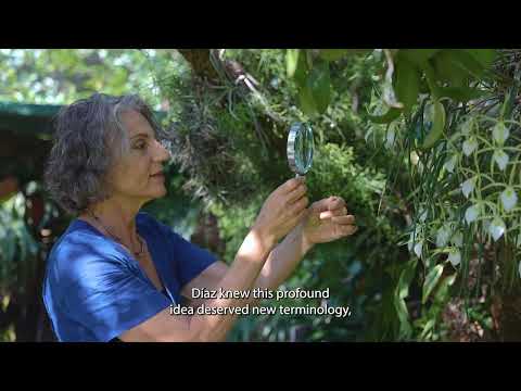 Sandra Díaz, winner of the Tyler Prize 2025