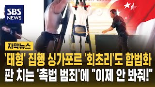 교사가 '비행 초등생' 때려도 합법..판 치는 '촉법 범죄'에 칼 빼든 이 나라 (자막뉴스) / SBS