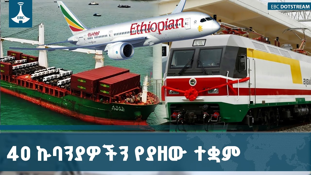 40 ግዙፍ የመንግስት ኩባንያዎችን በስሩ የያዘው የኢትዮጵያ ኢንቨስትመንት ሆልዲንግስ 