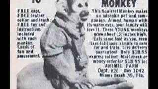 The Von Zippers- Monkey On You