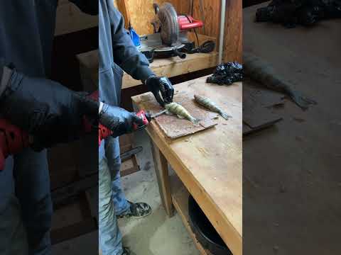 removing the skin from the fillet