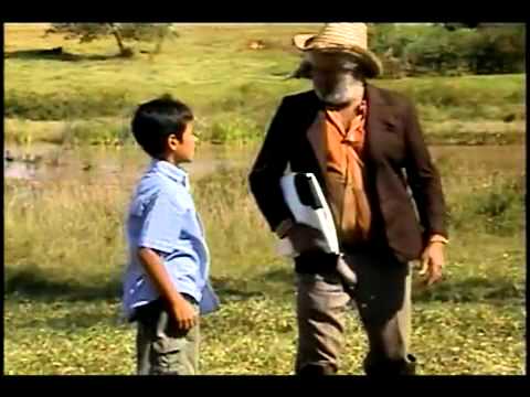 Couro de Boi (Original)