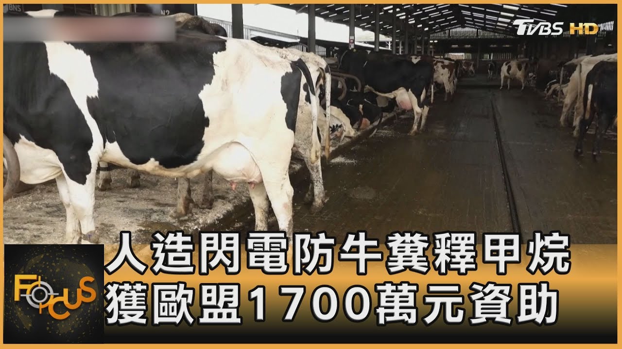 人造閃電防牛糞釋甲烷 獲歐盟1700萬元資助