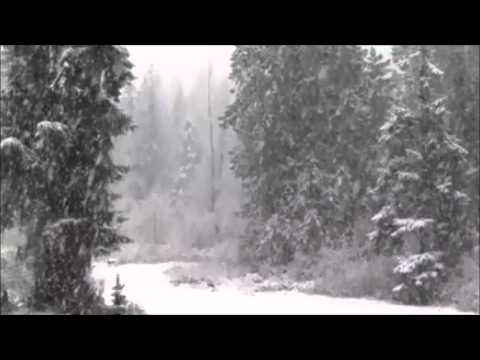 DJ Harm (of Contingency) - Do You Hear What I Hear?