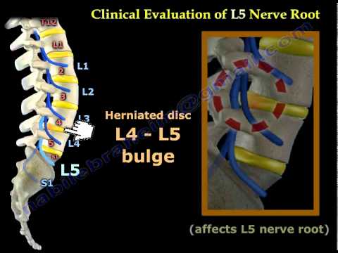 Neurological Examination Spinal Cord Part 2 - Everything You Need To Know - Dr. Nabil Ebraheim