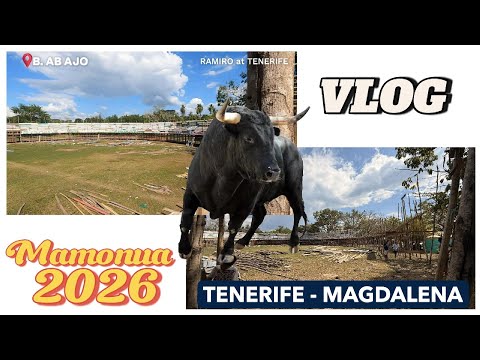 VLOG Mamonua 2026 | Tenerife Magdalena