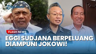 Bisa Dapat Ampun! Eggi Sudjana Berpotensi Raih Ampunan Jokowi Melalui Jalur Restorative Justice