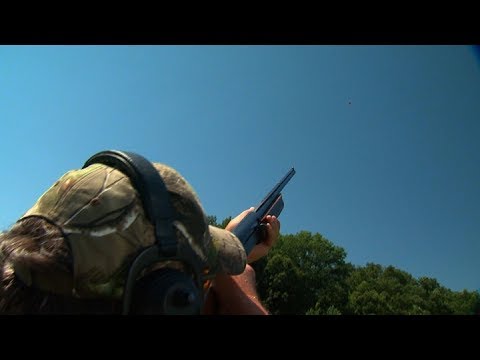 Wing Shooting Tip | Shooting USA