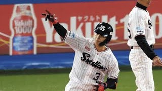 若き覚醒🔥2者連続ホームランで流れ一変！神宮が震えた瞬間#ヤクルト #阪神 #プロ野球 #ホームラン #神宮球場 #野球ハイライト #若手覚醒 #内山壮真 #武岡龍世 #首位攻防戦