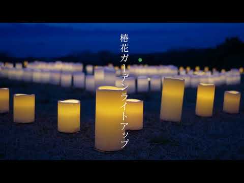 椿花ガーデンライトアップ