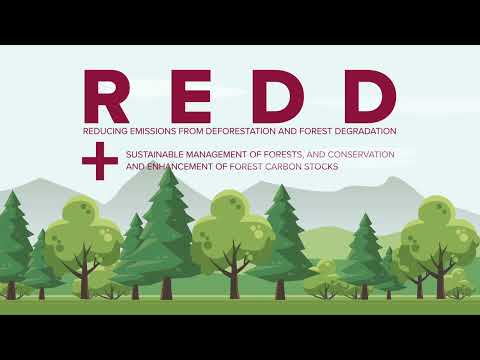 Verra - verified carbon standard _ vcs, ccbs, sd vista, j n ...