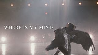 Black Swan | Where is my mind