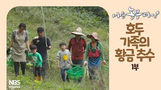 [나는농부다 219회 1부] 호두 가족의 황금 추수