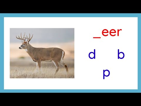 Beginning Consonant Sounds of Words