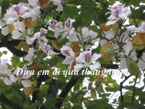 download lagu mp3 mp4 Nong Nan Ha Noi Lyrics, download lagu Nong Nan Ha Noi Lyrics gratis, unduh video klip Nong Nan Ha Noi Lyrics