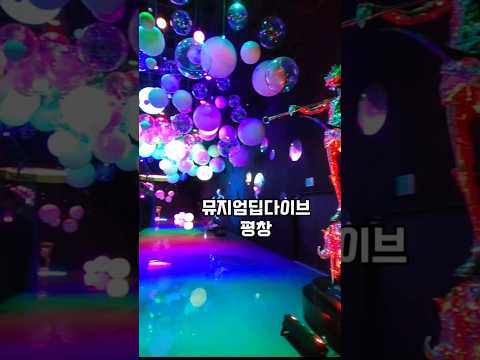 미디어아트 전시관 '뮤지엄딥다이브 강원도아이랑갈만한곳 추천