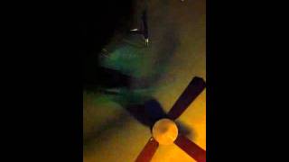 Oldtime Jam, Skiddle Row in Durham