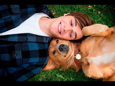 ŠUNS TIKSLAS - lietuviškai dubliuotas filmas kinuose nuo vasario 24 d.