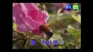 [問卦] 看過哪個兒童節目 代表已經老了？