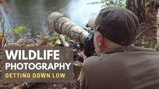 BIRD PHOTOGRAPHY | Improve Your Images and Get Down Low