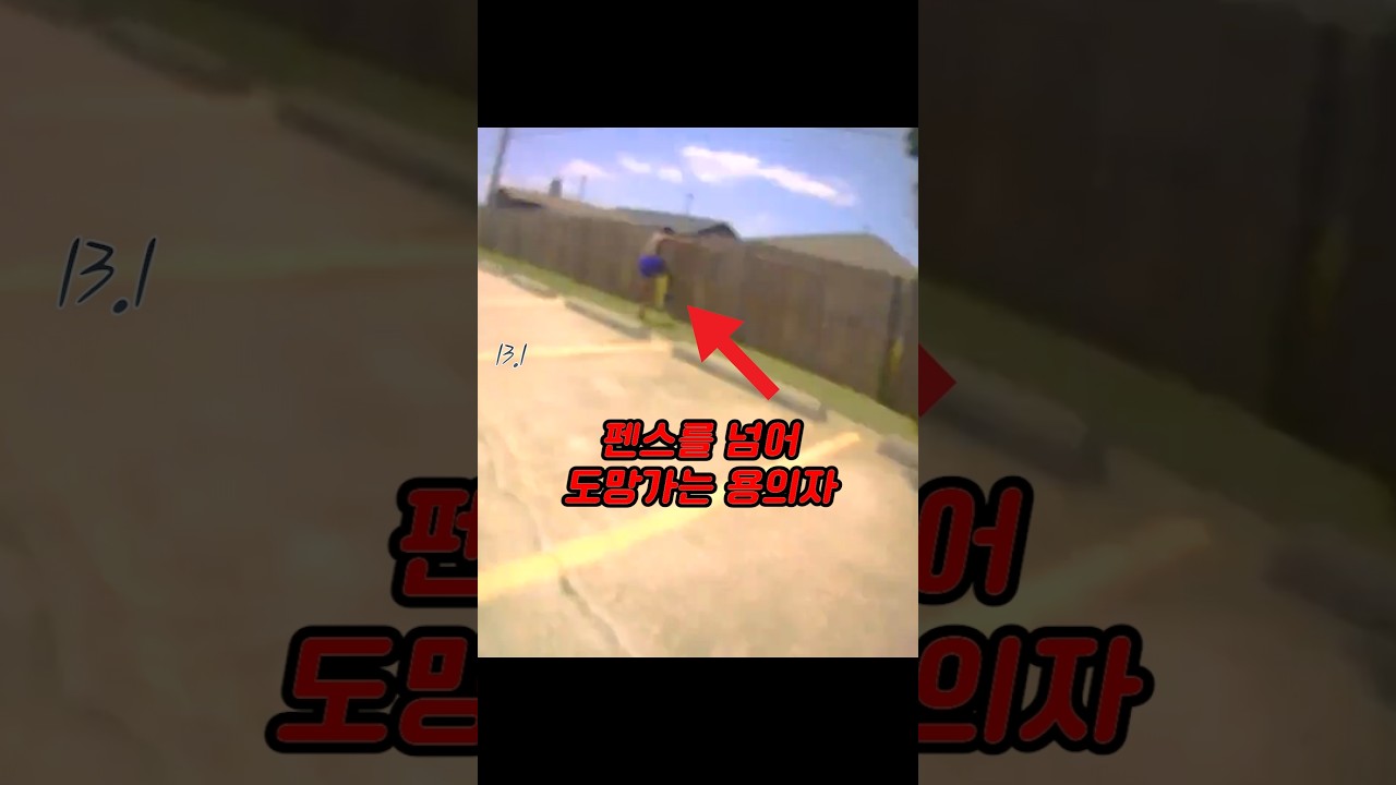 경찰 속 시원하게 따라가네 ㅋㅋㅋ
