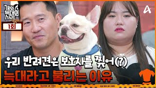 [影音] 250805 Channel A 狗和狼的時間 E01