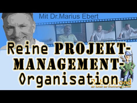 Reine Projektmanagement-Organisation