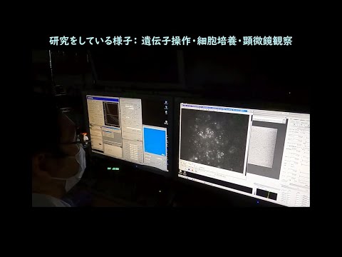 【研究室公開・生命理工学院 徳永研究室】顕微鏡で分子を観る ─ 実験している様子を紹介 ─ / すずかけサイエンスデイ2021