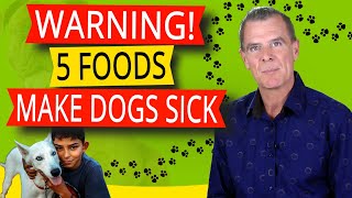 People Foods NOT To Feed Your Dog (5 Human Foods BAD For Dogs)