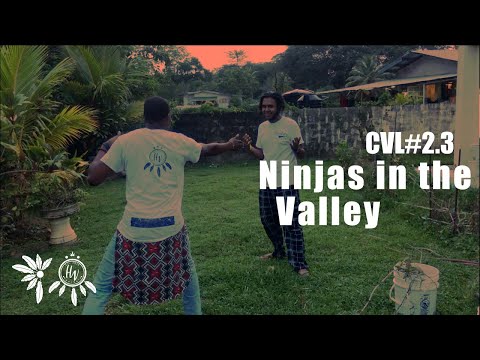 CVL#2.3 - Ninjas in the Valley
