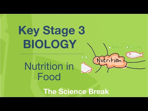 Key Stage 3 Science (Biology) - Nutrition in Food