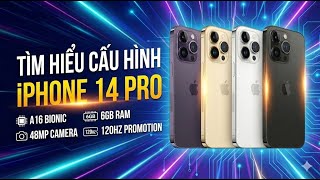 Chi tiết cấu hình và hiệu năng đồ họa thực tế