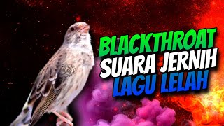 Download lagu BLACKTHROAT GACOR SUARA JERNIH UNTUK MASTERAN KENARI #74 mp3 Download lagu BLACKTHROAT GACOR SUARA JERNIH UNTUK MASTERAN KENARI #74 mp3