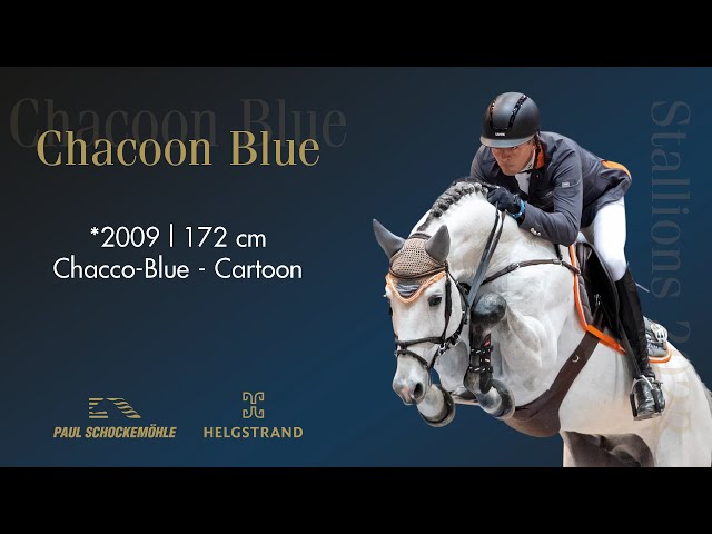 The father of this frozen embryo is the Top Stallion Chacoon Blue with rider Phillip Rüping.