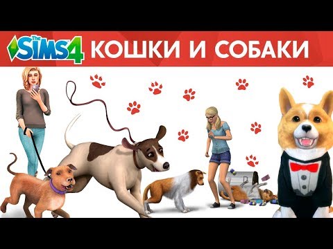 Как установить The Sims 4 КОШКИ И СОБАКИ? Решение проблем с zlOrigin