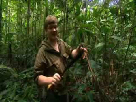 The Pemon Ray Mears Bushcraft S1E3 part 5