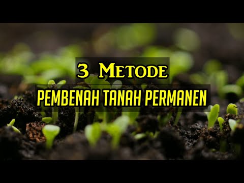 , title : '3 metode pembenah tanah permanen | fakultas Pertanian UGM'