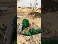 Yeh Maah E Moharram Shia Shortsvideo Nadeemsarwar Noha Shiastatus Shorts Short Moharram