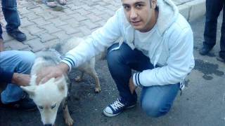 Dj GündeM Ft Asi Styla  OY GÜLÜM 2011