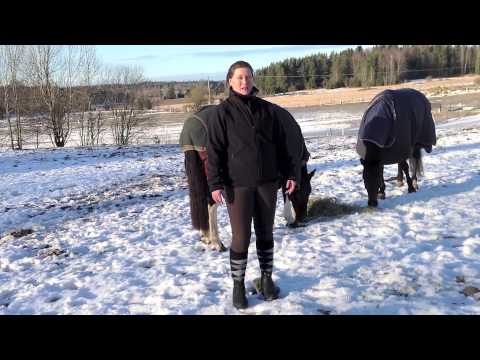 ESMA 2013 Congratulations