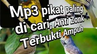 Download lagu Suara Ampuh Pikat Burung Kecil [terbaru] mp3