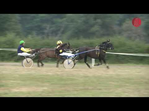 P2P de Vaumas - C6 : Prix des Écuries Raffestin