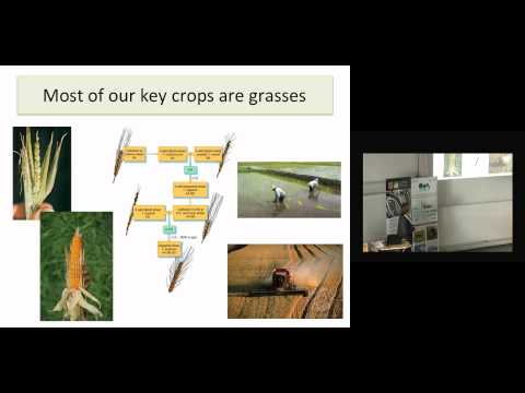 Prof  Sue Hartley Public Lecture 9 June15