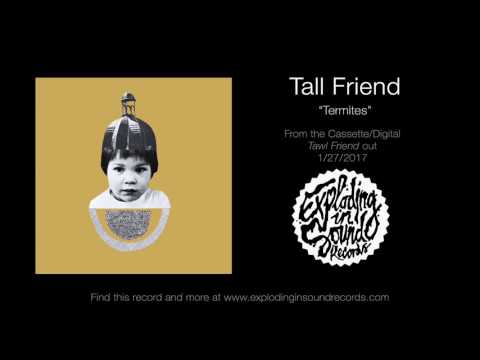 Video thumbnail for Termites