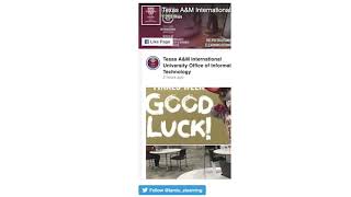 TAMIU Students: Blackboard Navigation