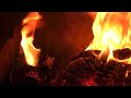 Heating For Broiler Chickens Beautifully Burning Wood In The Oven