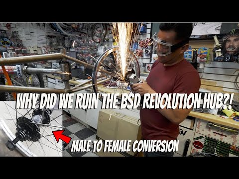 Why Did We Ruin The BSD Revolution Hub?! 🤯
